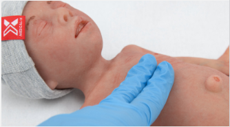 Emergency medical intervention Allows the training of basic and advanced neonatal life support